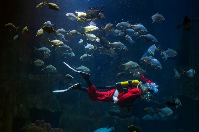 Thế giới tưng bừng đón Giáng sinh